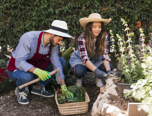 Ponuka na záhradnícke práce